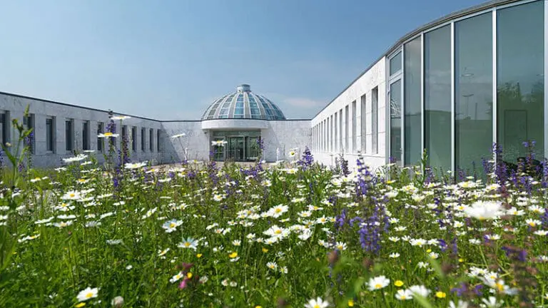 Weiterbildungszentrum Holzweid