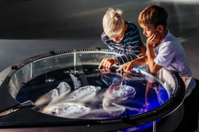 phaeno – Die Experimentierlandschaft