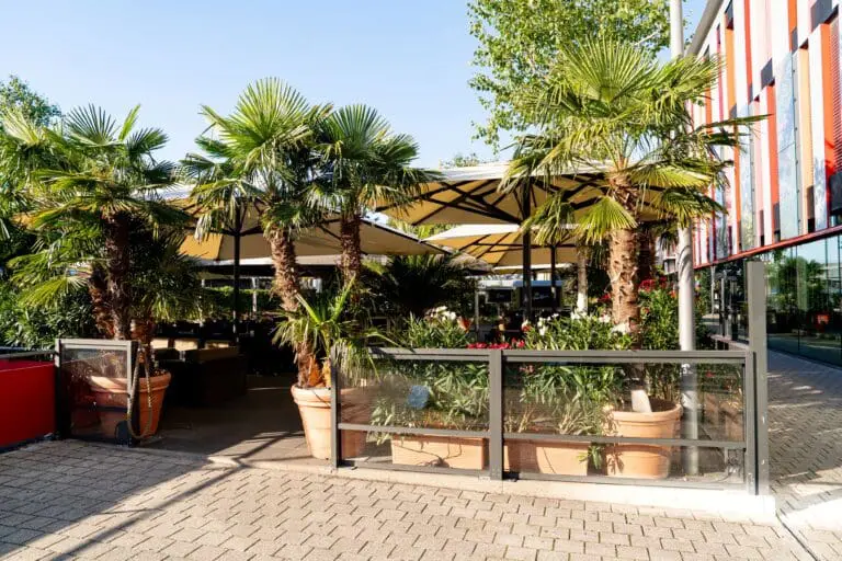 Palm Beach Stuttgart