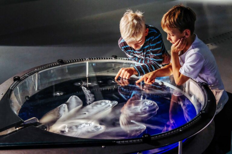 phaeno – Die Experimentierlandschaft