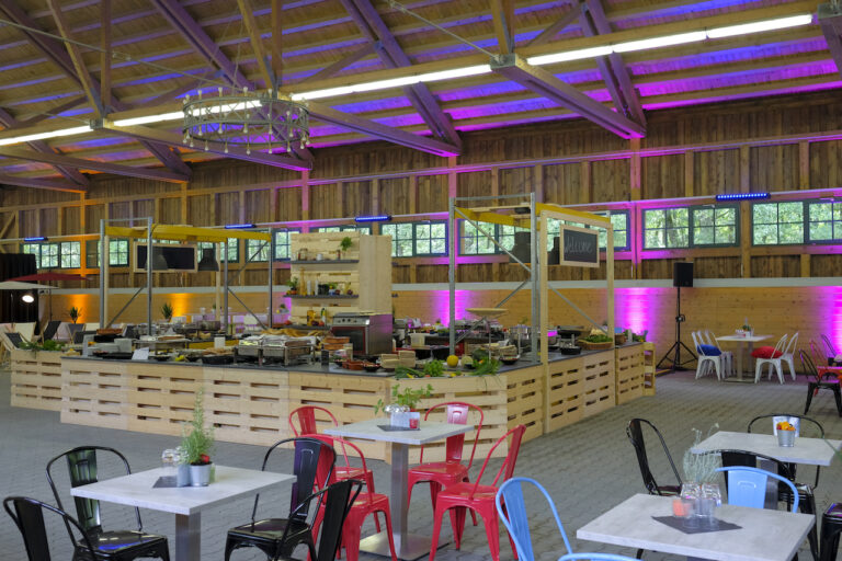 WISAG Event Service GmbH & Co. KG